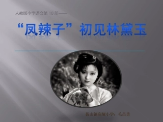 人教版小学语文五年级下册《22凤辣子初见林黛玉》PPT课件3