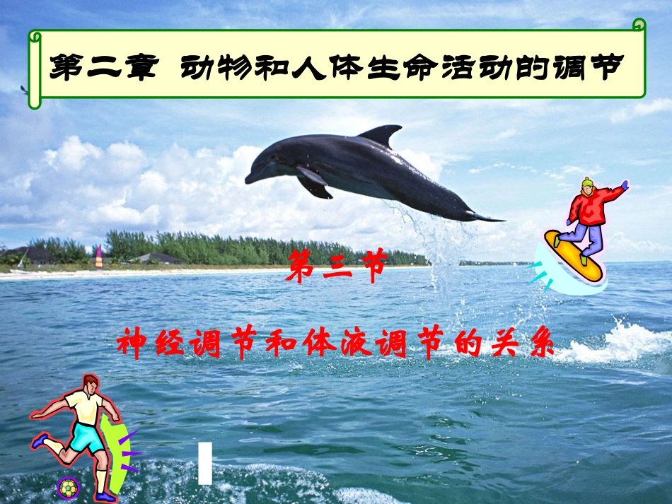 神经调节与体液调节的关系new_第1页