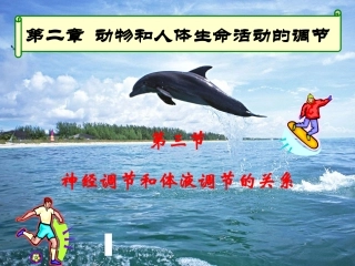 神经调节与体液调节的关系new
