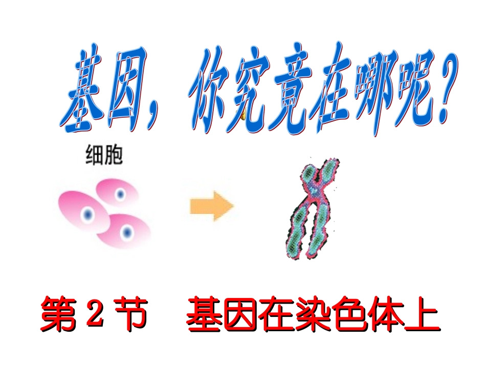 基因在染色体上_第1页