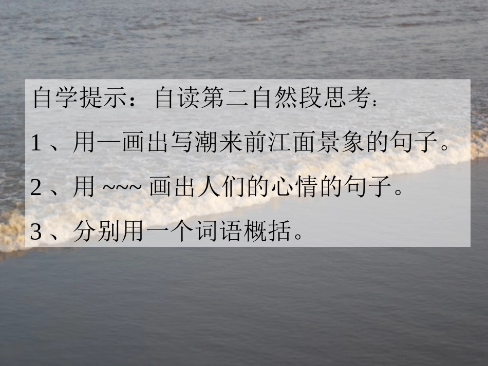 《观潮》PPT课件_第2页