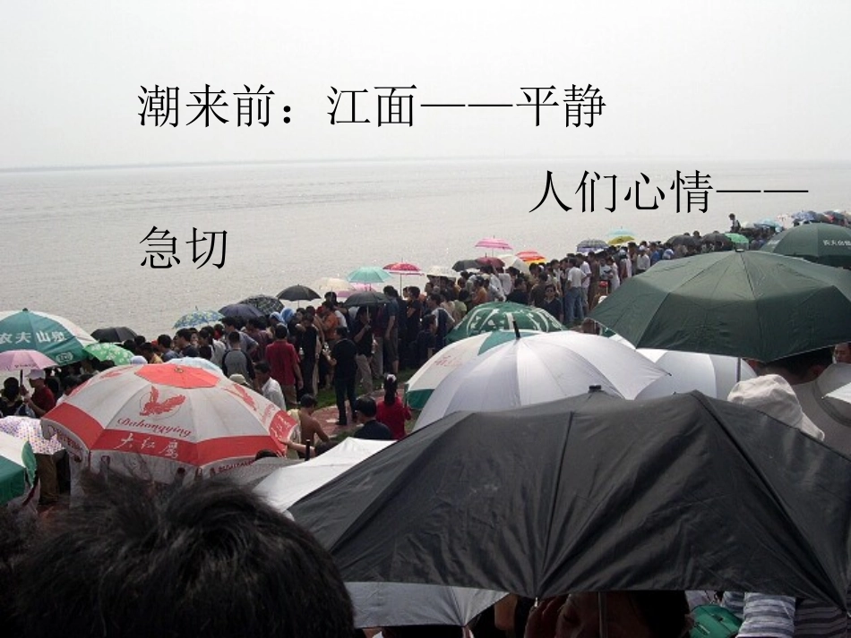 《观潮》PPT课件_第3页