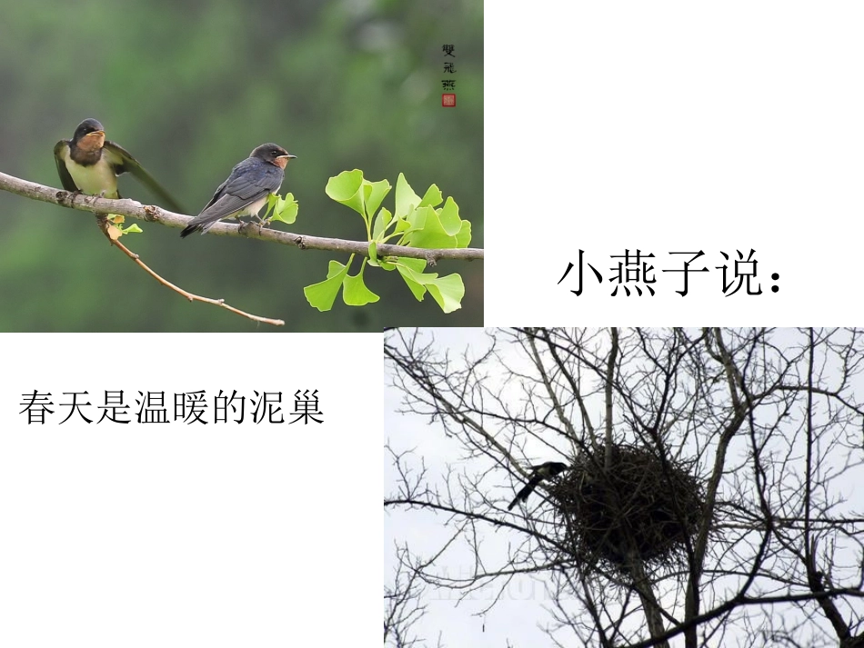 语言春天课件_第2页