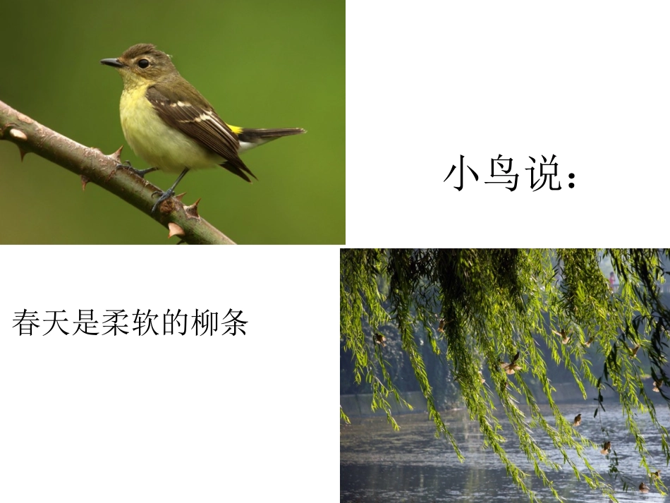 语言春天课件_第3页