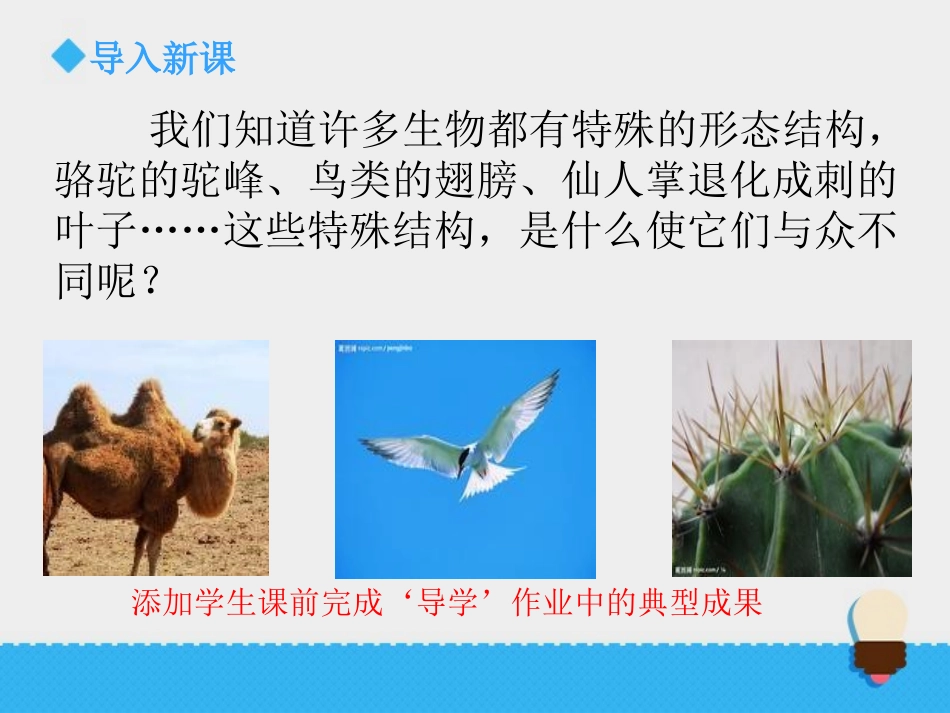《原来是相关联的》课件1_第2页