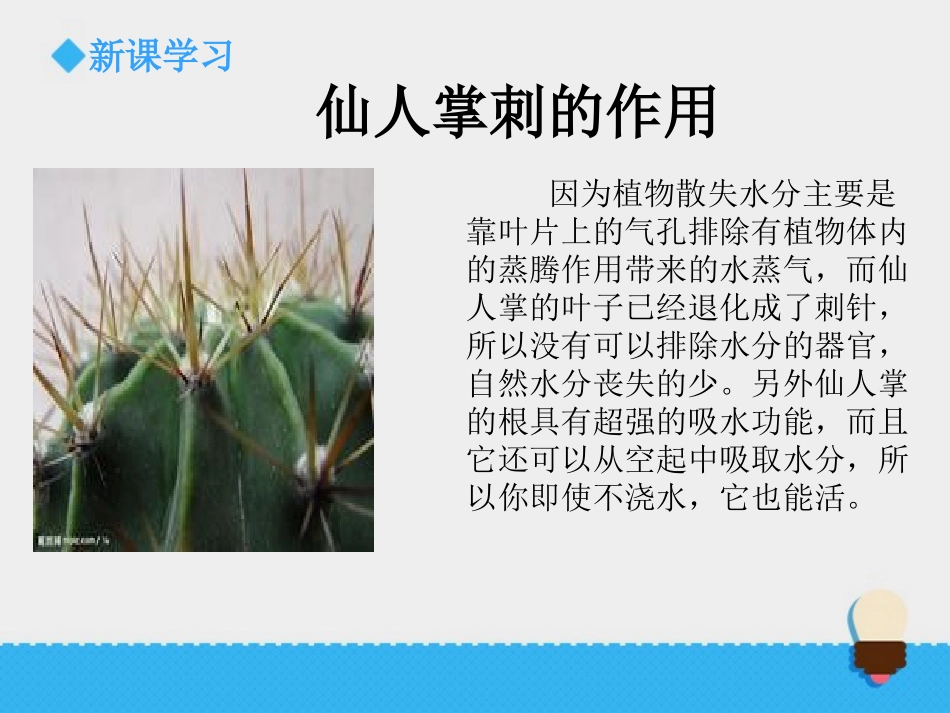 《原来是相关联的》课件1_第3页