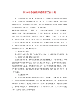 2020年学校教师老带新工作计划 