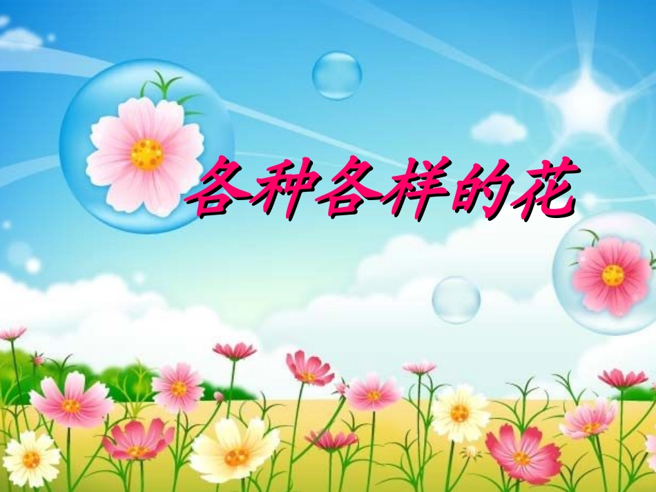 各种各样的花(简化)_第1页