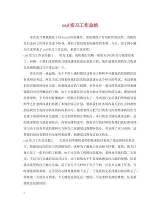 cad实习工作总结