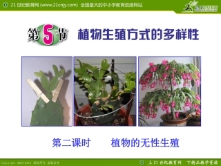 第5节植物生殖方式的多样性（第二课时）