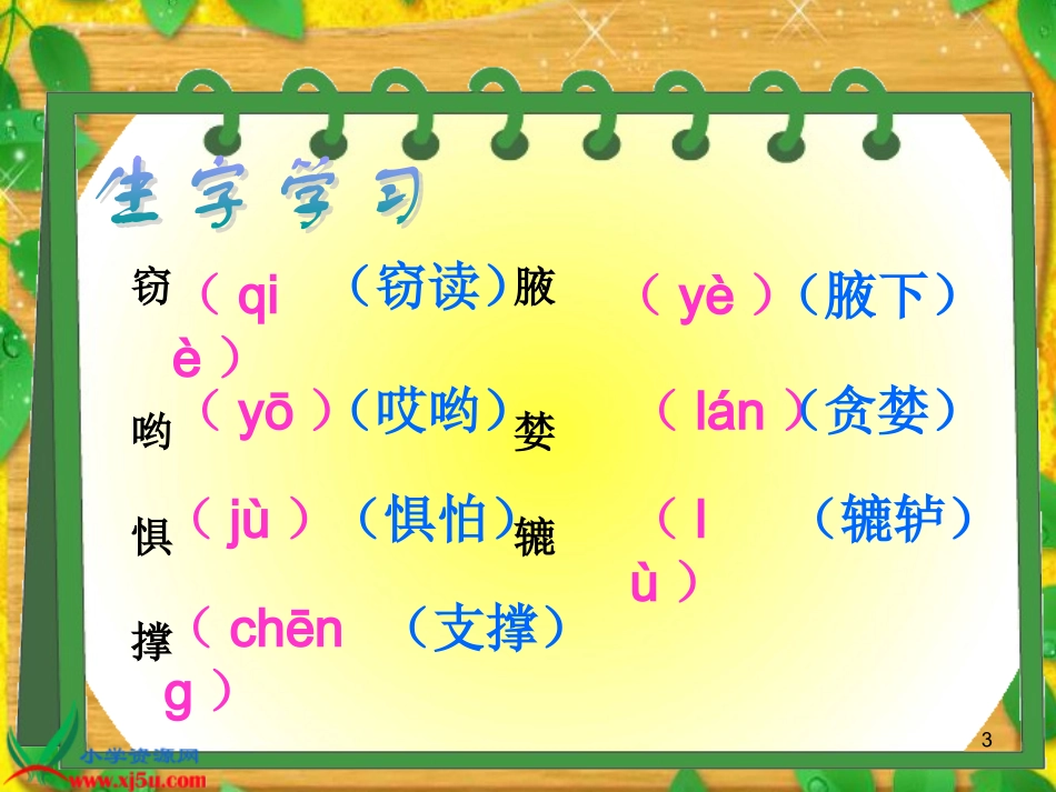 人教版五年级语文上册《窃读记》课件_第3页