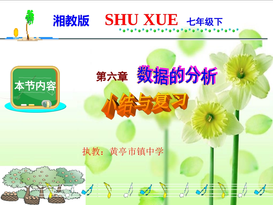 第六章数据分析复习（共19张PPT）_第1页