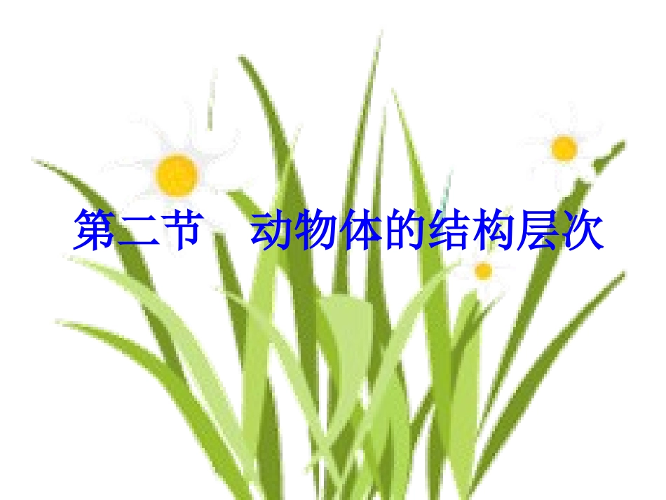 动物体的结构层次复件_第1页