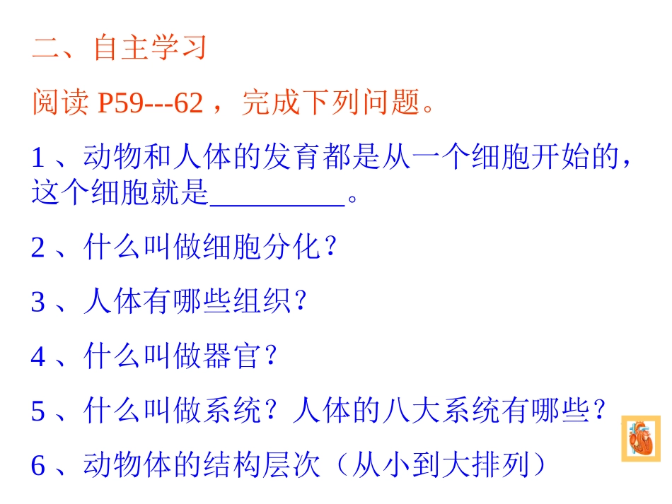 动物体的结构层次复件_第3页