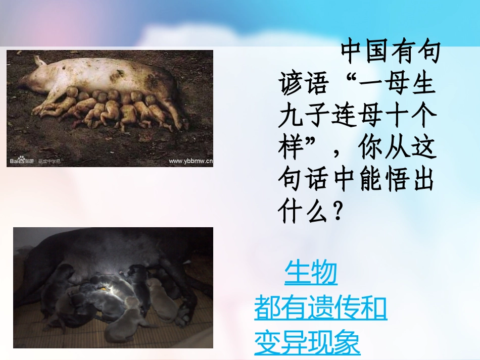 -生物的变异_第2页