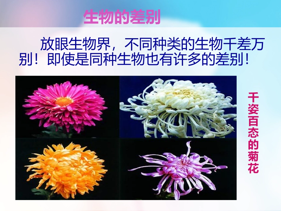 -生物的变异_第3页