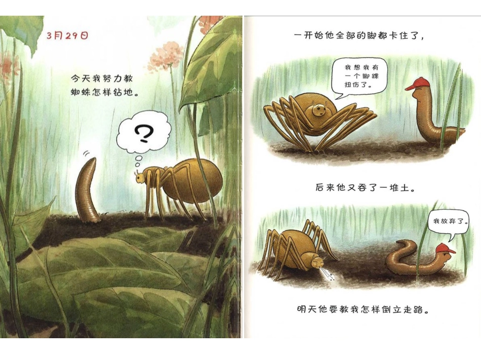 绘本故事-蚯蚓的日记_第3页