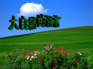 语文八年级上册《大自然的语言》教学课件：70页