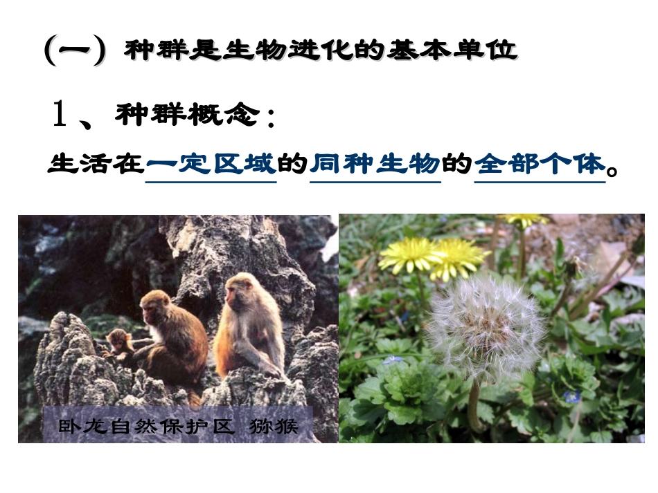 必修2第七章第二节_现代生物进化理论的主要内容2_第3页