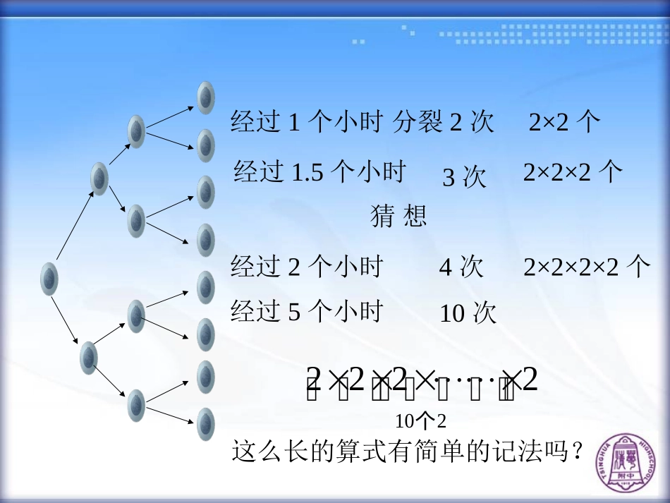 有理数的乘方(第课时)_第3页
