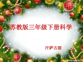 今天刮什么风11