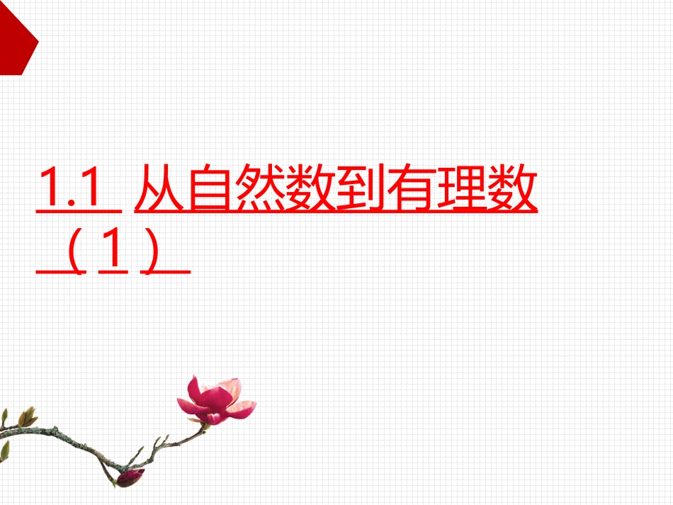 从自然数到有理数（）_第1页