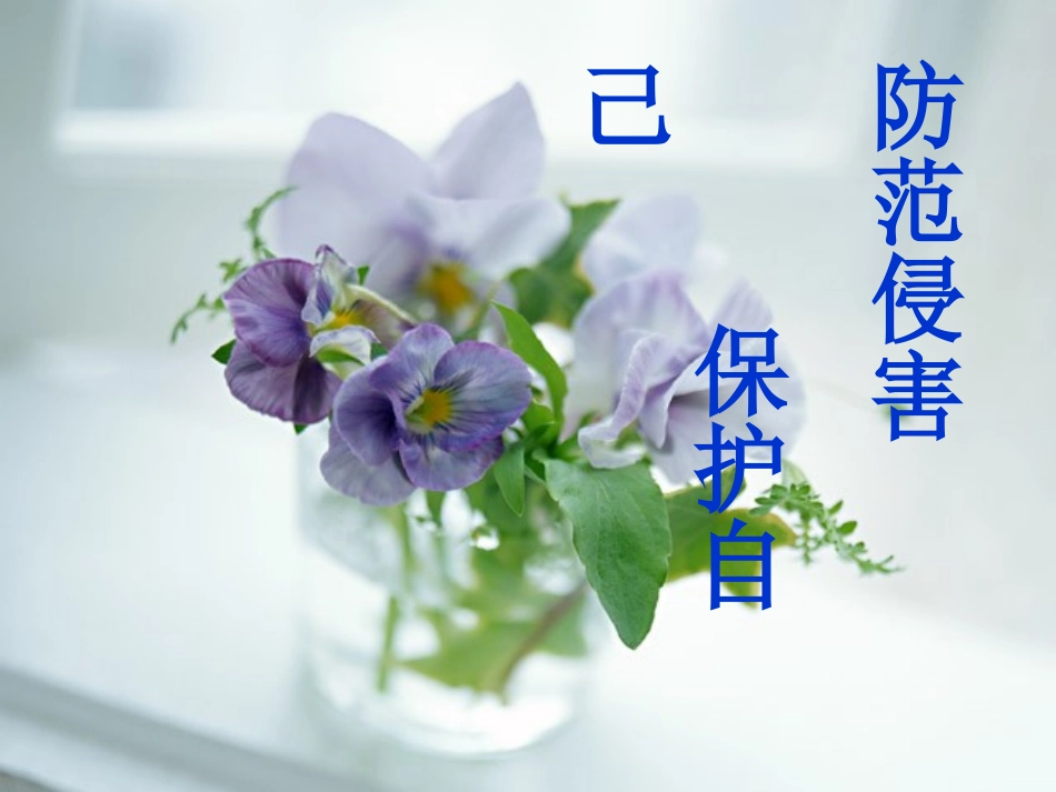 防范侵害保护自己(公开课新)_第1页