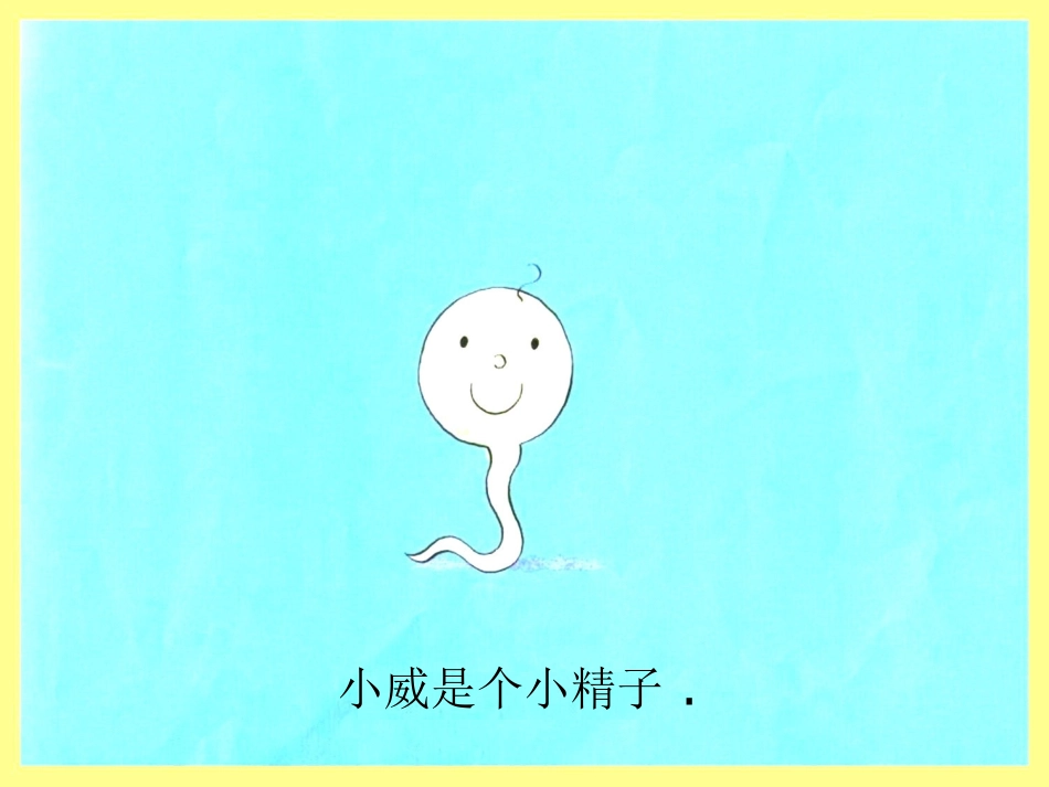 小威向前冲课件_第3页