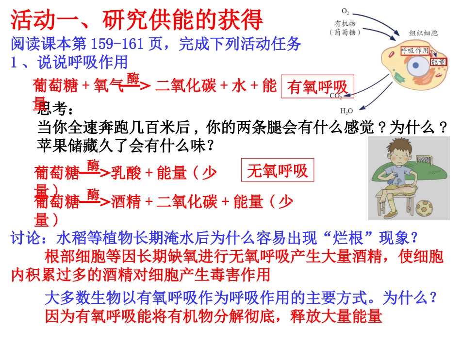 九（上）44能量的获得_第2页