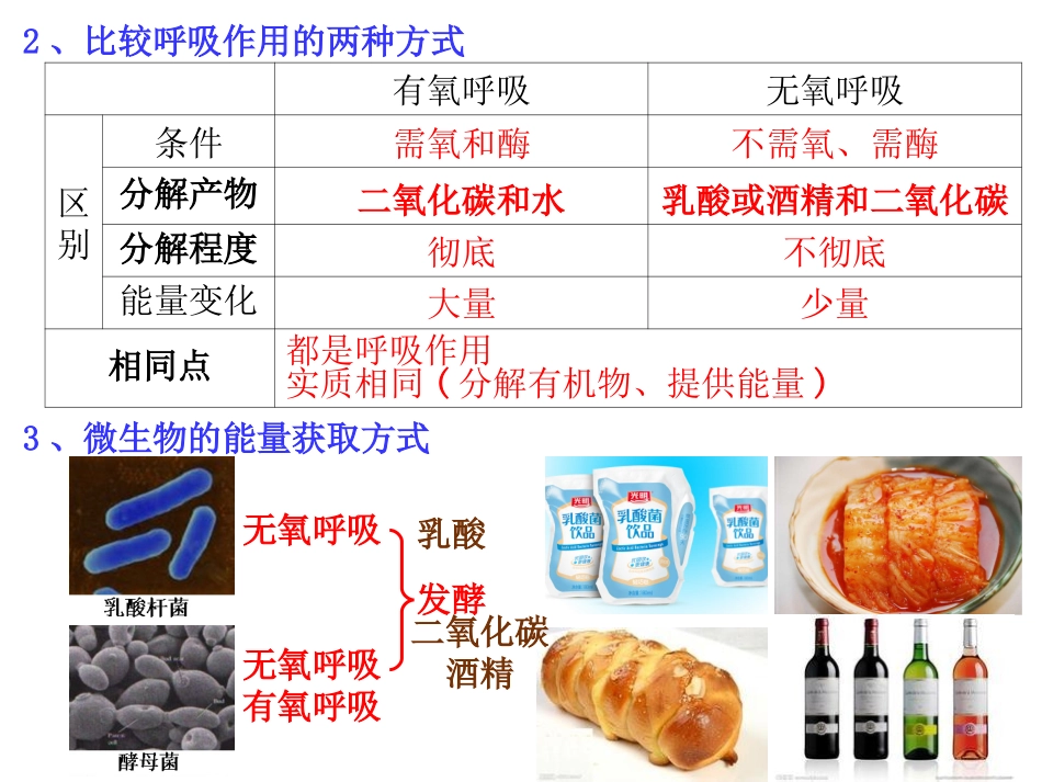 九（上）44能量的获得_第3页