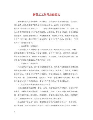 新员工工作月总结范文