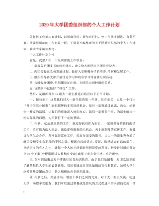 2020年大学团委组织部的个人工作计划 
