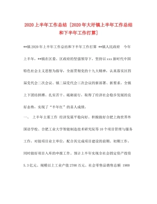 上半年工作总结[年大圩镇上半年工作总结和下半年工作打算]