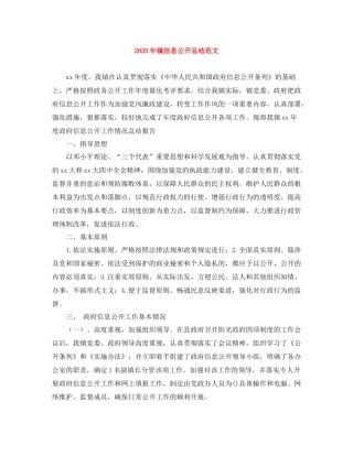 2020年镇信息公开总结范文