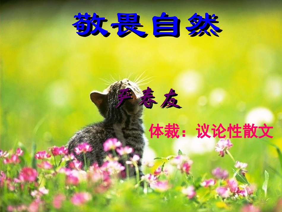 《敬畏自然》_第1页