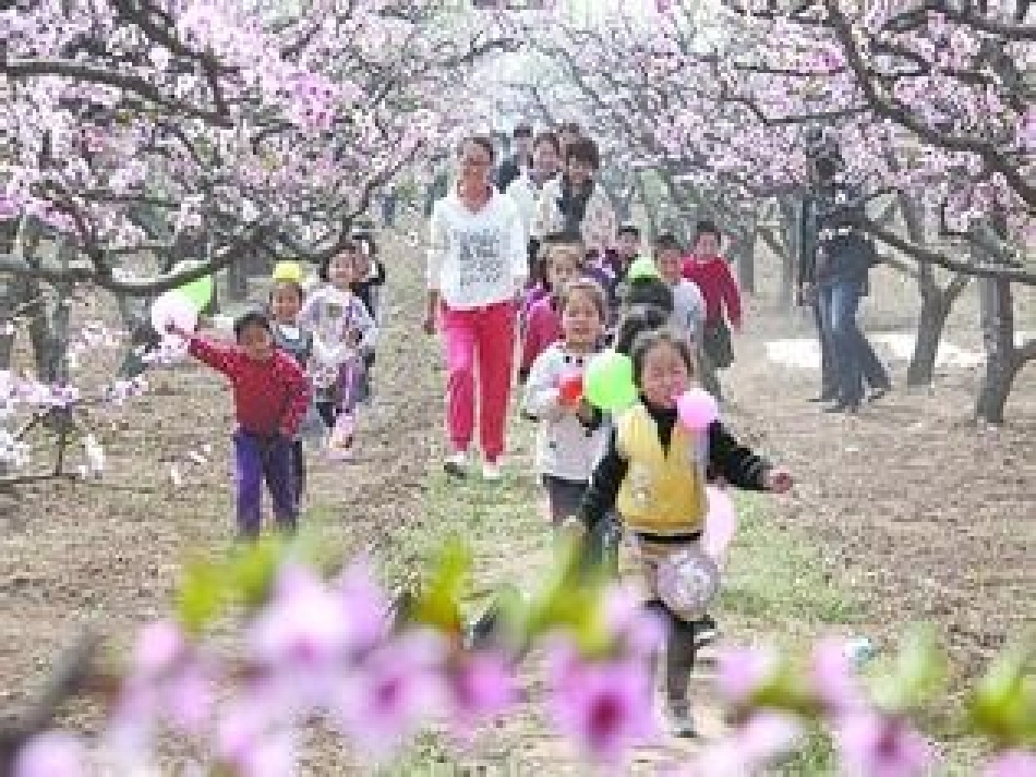 找春天演示文稿_第3页