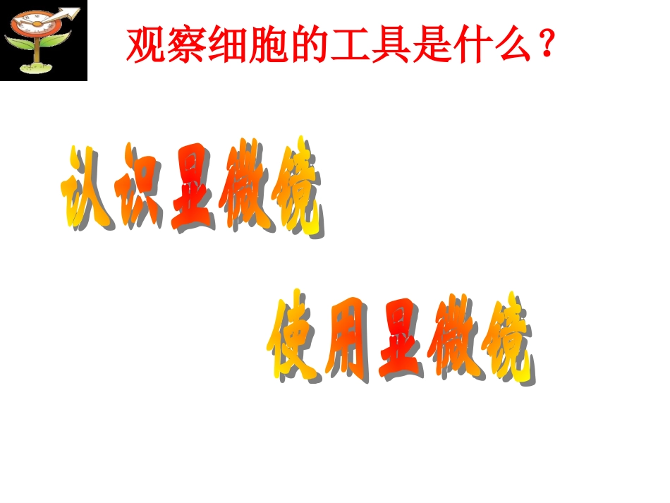 第2节细胞（2）a_第3页