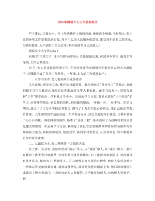 2020年国税个人工作总结范文 