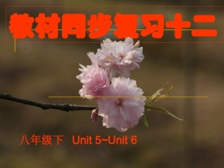 教材同步复习十二