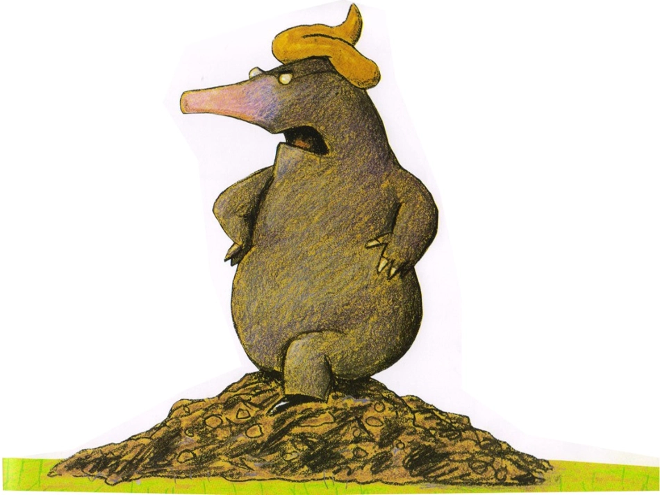 课件：动物的嗯嗯_第2页