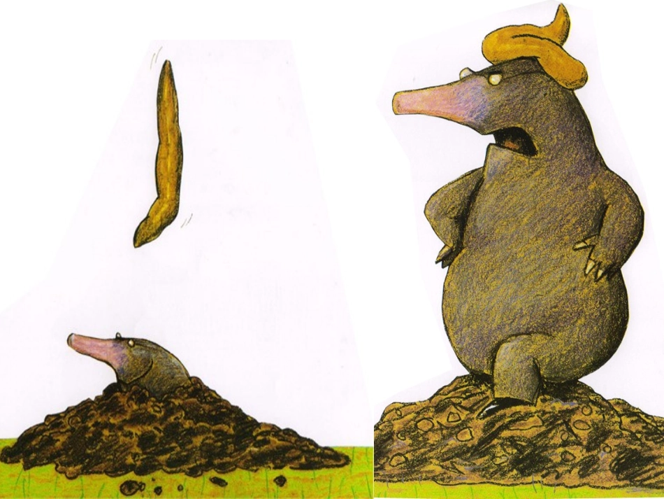 课件：动物的嗯嗯_第3页