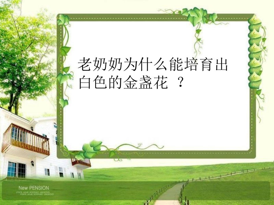 《绿手指》第二课时_第2页
