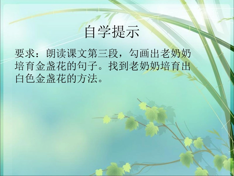 《绿手指》第二课时_第3页