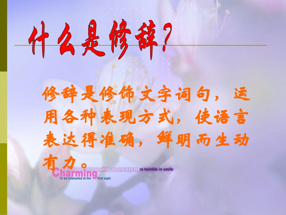 中考语文专题复习：修辞手法课件[1]_第3页