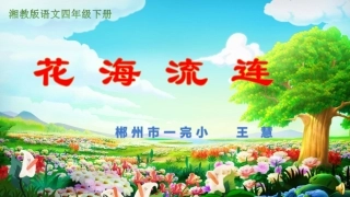 花海连连2016