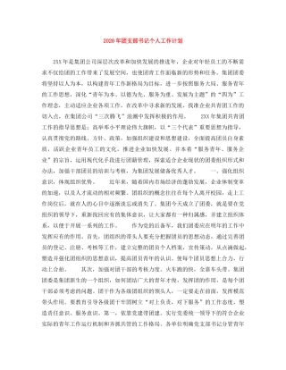 2020年团支部书记个人工作计划 