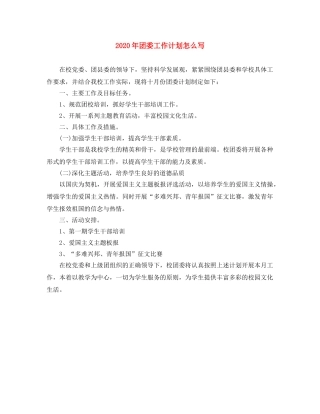 2020年团委工作计划怎么写 