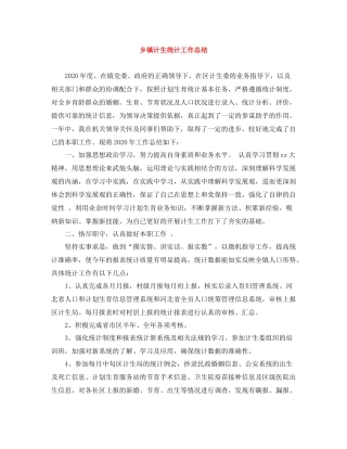 乡镇计生统计工作总结