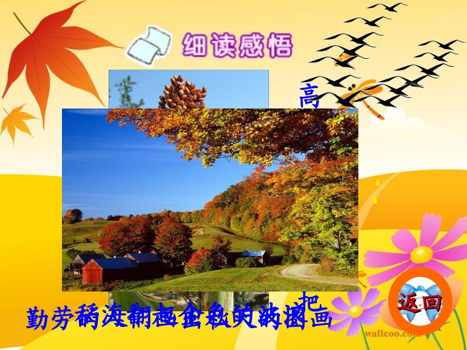 秋天的图画 (3)_第3页