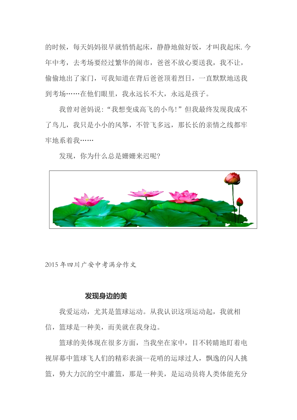 2016年中考作文指导手册_第2页